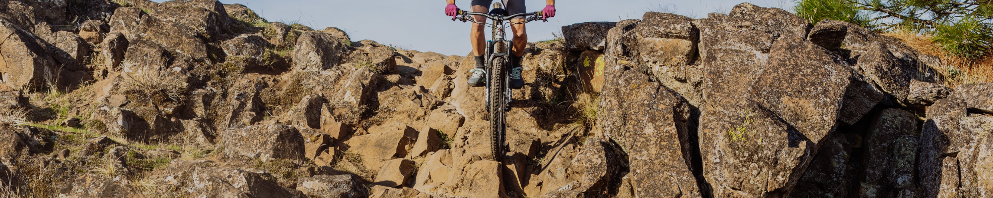 MTB Tyres